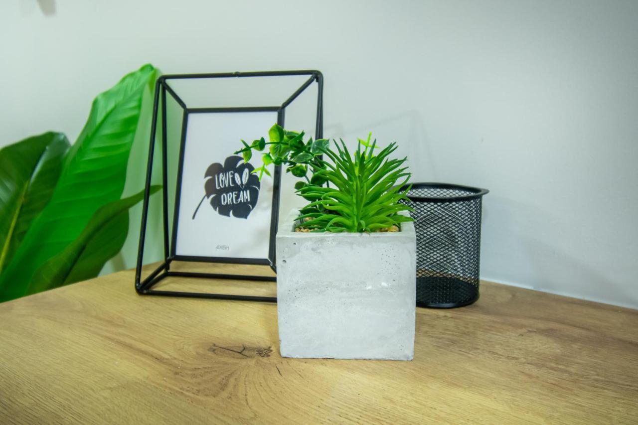 Barcelo Coliving Apartment *